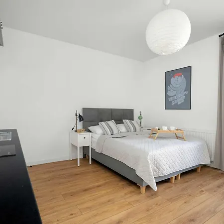 Elegant Very Berry With Parking And Balcony By Renters Appartement *